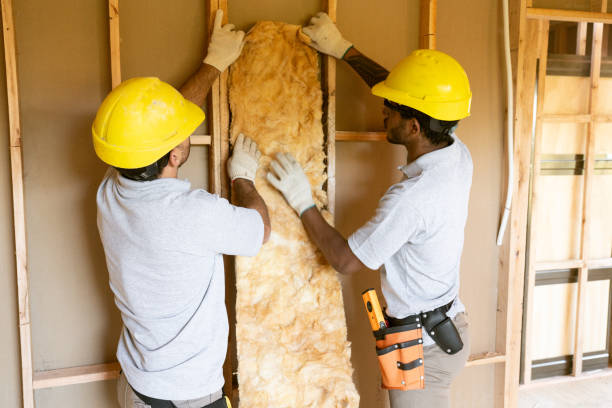 Best Basement Insulation  in Viola, IL